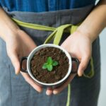 Tendências do Trabalho: Crescimento do Mercado Verde