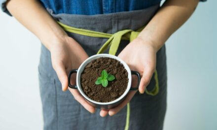 Tendências do Trabalho: Crescimento do Mercado Verde