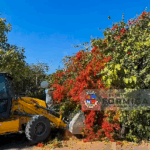 Prefeitura de Formiga reforça compromisso com a limpeza urbana e o cuidado com os espaços públicos