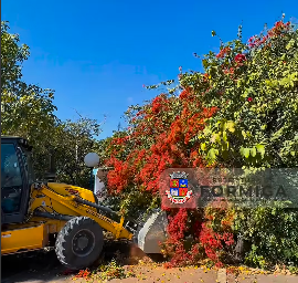 Prefeitura de Formiga reforça compromisso com a limpeza urbana e o cuidado com os espaços públicos