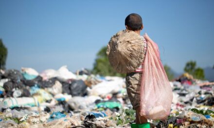 Mais de 6 mil crianças são resgatadas do trabalho infantil em 2 anos