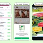 WhatsApp terá anúncios e canais com conteúdo pago; veja como vai funcionar