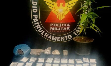 Polícia Militar apreende drogas e prende suspeito no bairro Geraldo Veloso, em Formiga