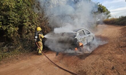 Incêndio destrói carro e atinge vegetação na estrada da comunidade Padre Doutor, em Formiga