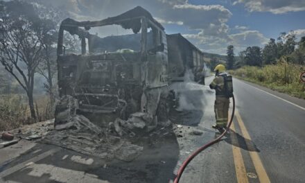 Bombeiros divulgam novas informações sobre incêndio em carreta e vegetação na BR-354