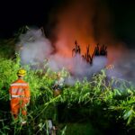Incêndio em moita de bambus assusta moradores e derruba poste no bairro São Luiz, em Formiga
