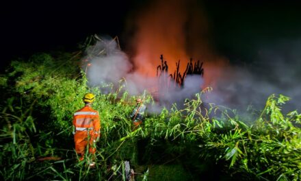 Incêndio em moita de bambus assusta moradores e derruba poste no bairro São Luiz, em Formiga