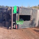 Carreta carregada com 60 bovinos tomba na BR-262 em Campos Altos