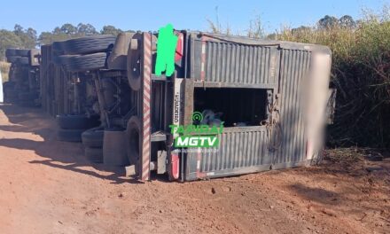 Carreta carregada com 60 bovinos tomba na BR-262 em Campos Altos