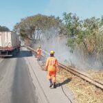 Bombeiros combatem incêndio às margens da BR-354 e evitam avanço para área rural