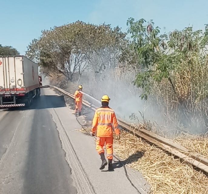 Bombeiros combatem incêndio às margens da BR-354 e evitam avanço para área rural