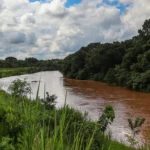Aumenta risco em barragem de rejeitos, e Brumadinho evacuará área