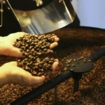 Setor cafeeiro pode ser forçado a redirecionar produção, diz Cepea/USP