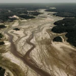 “Sou testemunha da aceleração das mudanças climáticas”, diz fotógrafo