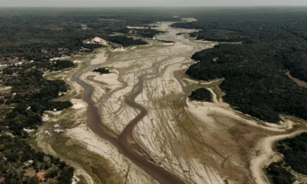 “Sou testemunha da aceleração das mudanças climáticas”, diz fotógrafo