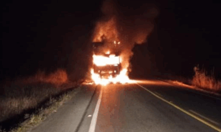 Carreta em chamas ameaça vegetação às margens de rodovia mineira e mobiliza Bombeiros