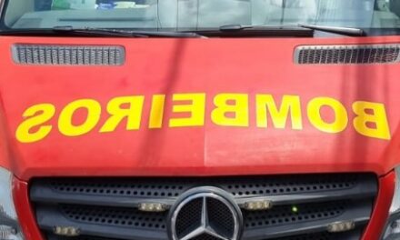 Trabalhadora escorrega ao carregar cão para banho e é socorrida pelos bombeiros, em Formiga