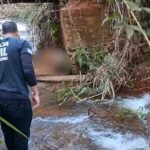 Corpo em decomposição é encontrado sob ponte na zona rural de Cássia, MG