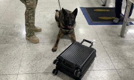 ‘Área restrita?’ PF prende três pessoas e apreende 80kg de drogas no Aeroporto de Guarulhos (SP)