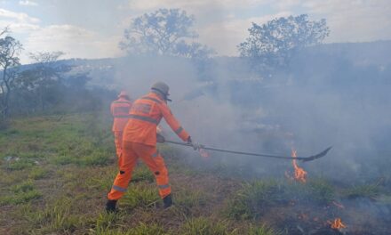 Incêndio foi registrado no bairro Residencial dos Lagos, em Formiga