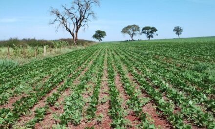 Minas Gerais aprova a dispensa de licenciamento ambiental para propriedade até mil hectares