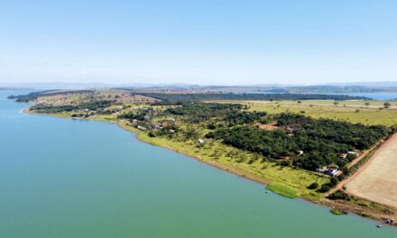 Eletrobras investe R$ 40 milhões em recuperação ambiental e Formiga, no entorno de Furnas, está entre os municípios beneficiados