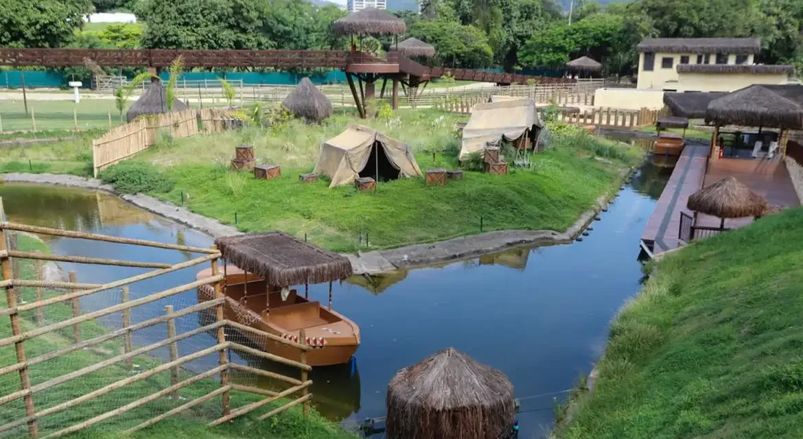 Galinhas d’angola do Bioparque no Rio morreram de gripe aviária