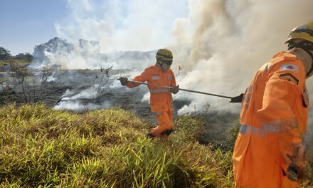 Incêndio atinge lote vago no bairro Ecoville em Campo Belo