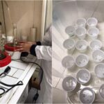 Estudo de universidade mineira usa extrato de café para combater mosquito da dengue com quase 100% de eficácia