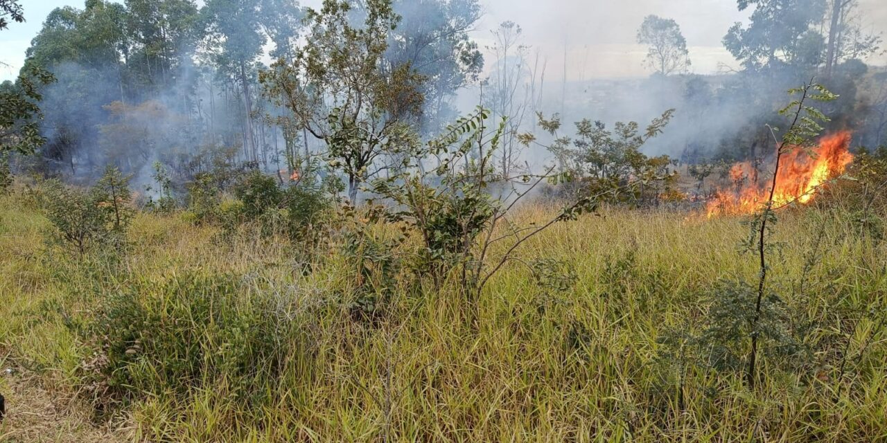 Incêndio de grandes proporções atinge extensa área de vegetação, em Formiga