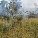 Incêndio de grandes proporções atinge extensa área de vegetação, em Formiga