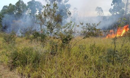 Incêndio de grandes proporções atinge extensa área de vegetação, em Formiga