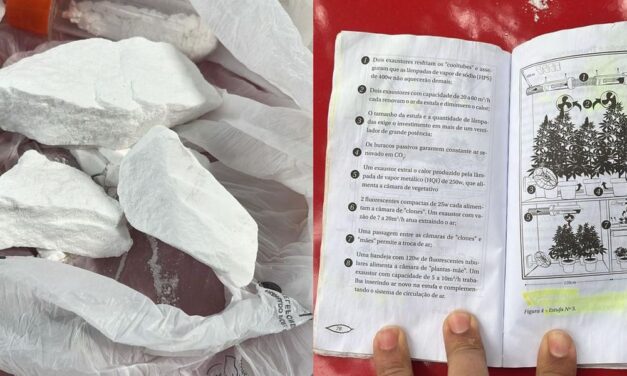 Homem é preso em Minas com drogas e “manual de cultivo da maconha”