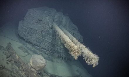 Navio japonês utilizado na Segunda Guerra Mundial é encontrado ainda armado no fundo do mar