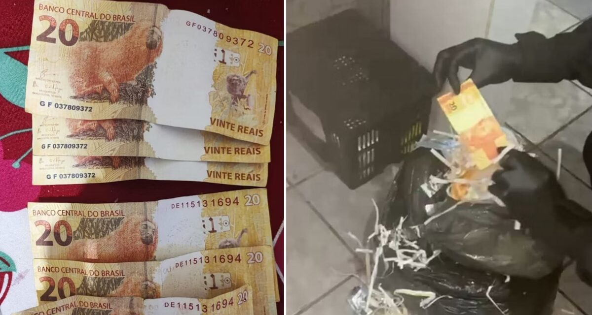 Polícia Federal mira grupo em MG que vendia notas falsas na web