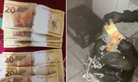 Polícia Federal mira grupo em MG que vendia notas falsas na web