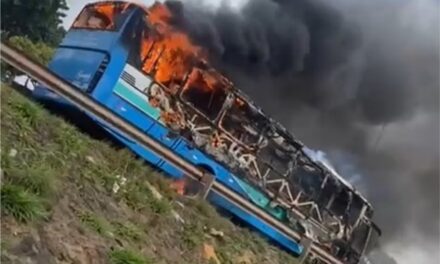 Ônibus pega fogo no Anel Rodoviário, em BH, e fica completamente destruído