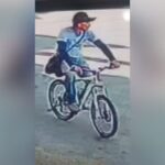 Corpo carbonizado encontrado em mata é de pintor desaparecido em Pará de Minas