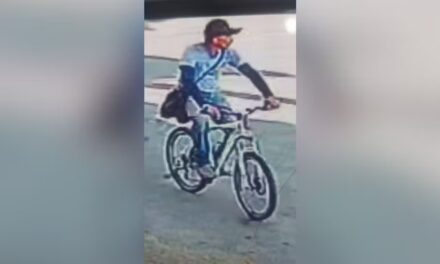Corpo carbonizado encontrado em mata é de pintor desaparecido em Pará de Minas