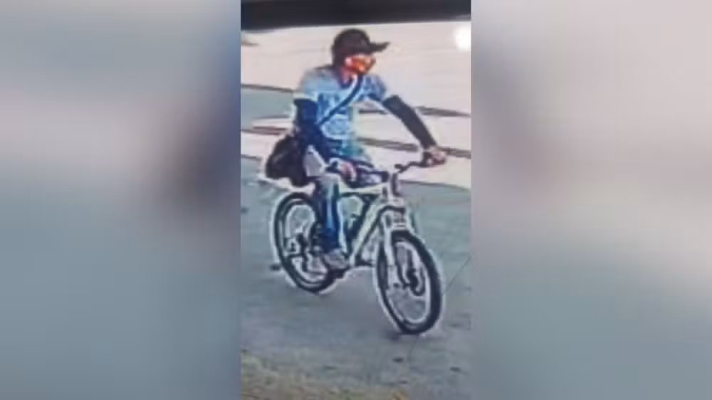 Corpo carbonizado encontrado em mata é de pintor desaparecido em Pará de Minas