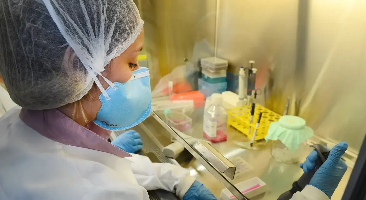 USP: pesquisa de vacina contra zika avança em testes com camundongos