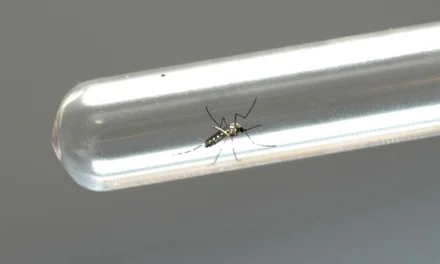 Governo vai pagar R$ 50 mil e pensão vitalícia a vítimas da síndrome da Zika