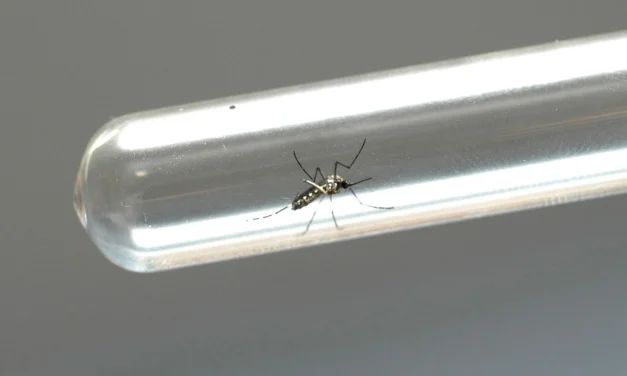 Governo vai pagar R$ 50 mil e pensão vitalícia a vítimas da síndrome da Zika