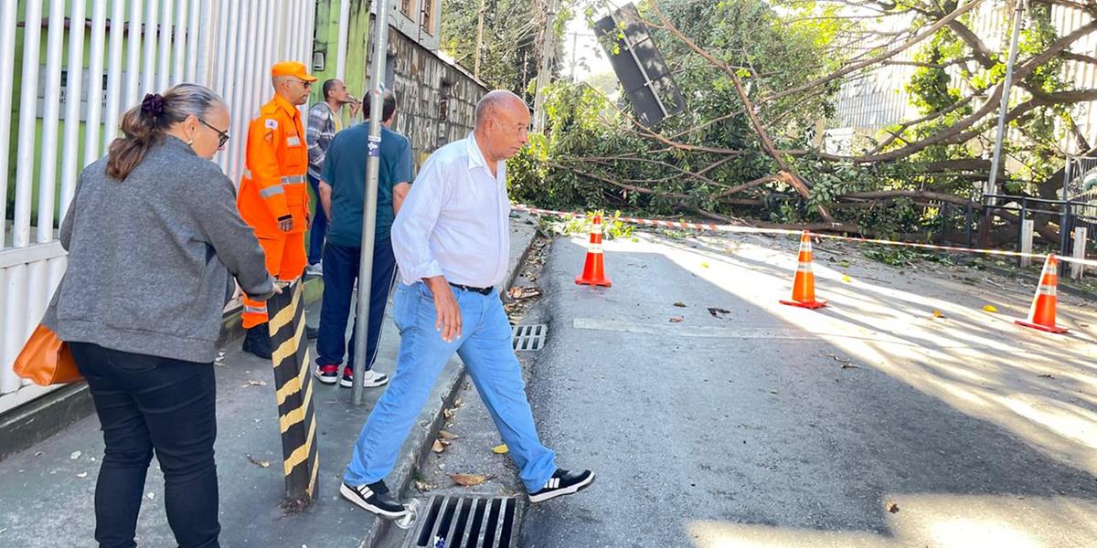 Queda de árvore interdita rua Padre Eustáquio, trava trânsito e deixa moradores sem energia