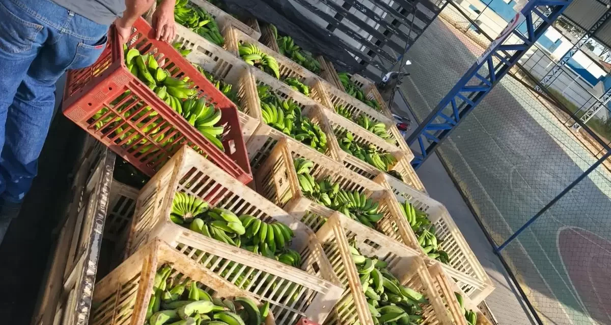 BMA recebe doação de 1 tonelada de bananas de produtores de Delfinópolis