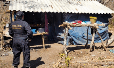 Polícia Federal resgata 18 trabalhadores em situação degradante em carvoarias clandestinas no Norte de Minas