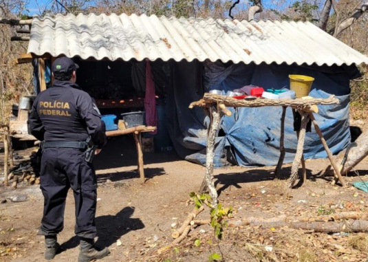 Polícia Federal resgata 18 trabalhadores em situação degradante em carvoarias clandestinas no Norte de Minas