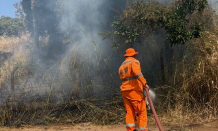 Corpo de Bombeiros combate incêndio, no bairro Santa Tereza, em Formiga