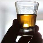 Expocachaça deve reunir 25 mil pessoas e movimentar R$ 30 milhões em negócios