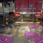 Homem é preso após transportar 400 kg de maconha junto à carga de carne